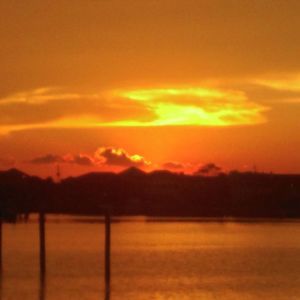 Meet your Posher, Bonnie